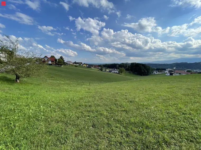 Wow! Was für eine Aussicht!