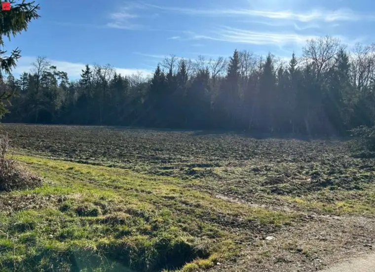 Acker- und Waldflächen im Bezirk Leibnitz