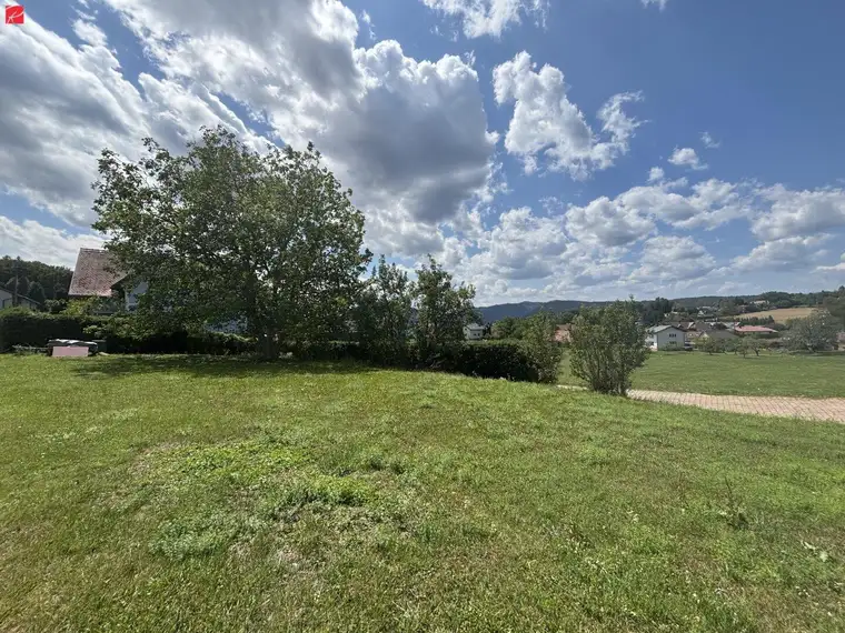 Wow! Was für eine Aussicht!
