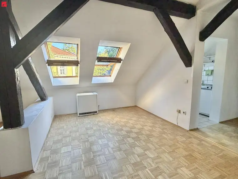 Helle DG-Wohnung neben Stadtpark und Schloßberg!