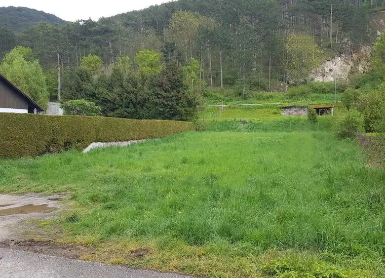 Idyllisches Baugrundstück in Berndorf: Ruheoase mit urbaner Anbindung