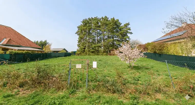 Genießen Sie die Südwest-Sonne: voll aufgeschlossenes Grundstück in Steinberg-Dörfl