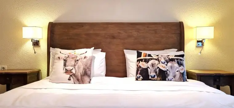 Boutique Hotel im Montafon nur 5 Fahrminuten zur Talstation!