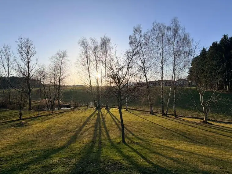 Baugrundstück in Obertrum am See - 703qm,748qm,1047qm oder 1089qm (Größe nach Wahl)