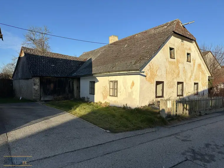 Einfamilienhaus mit großem Garten