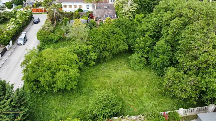 Baugrundstück mit Projektpotenzial in 1210 Wien – Stammersdorf