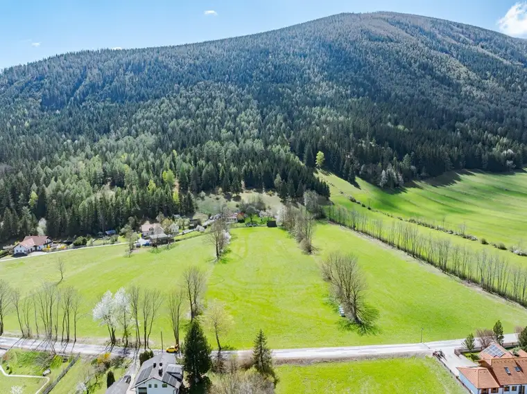 Blick auf den Schneeberg - zwei zusammenhängende Grundstücke