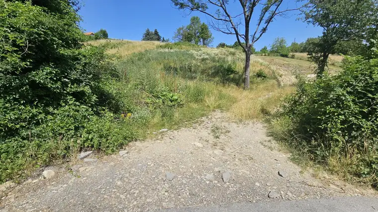 Großes Baugrundstück mit Donau-Blick in Klosterneuburg