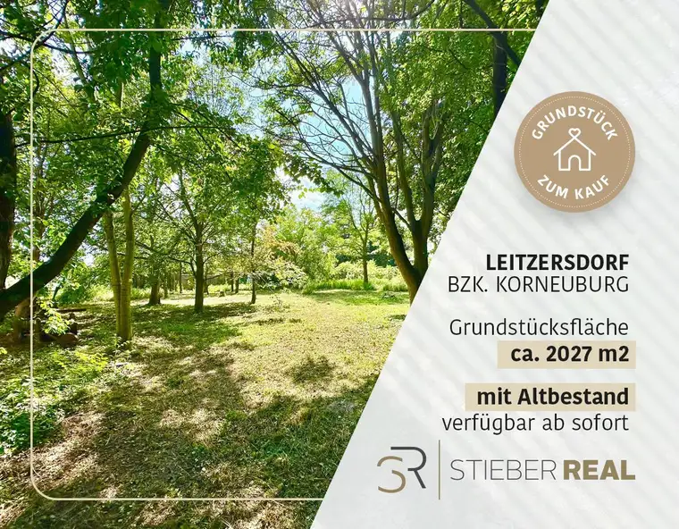 Baugrundstück mit Altbestand in Leitzersdorf.