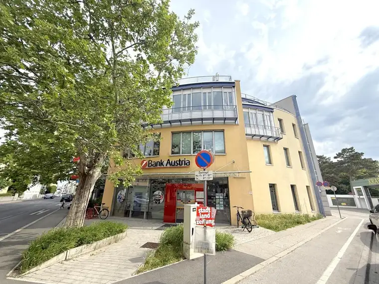 Großzügige 800 m² Bürofläche in zentraler Innenstadt-Lage in Mödling (ab ca. 400 m² teilbar)
