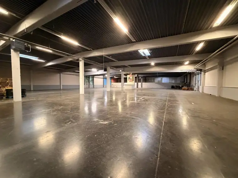 Moderne Lagerhalle - ca. 1448 m² Nutzfläche im 21. Bezirk. - ebenerdig, 24/7 nutzbar, bestens angebunden