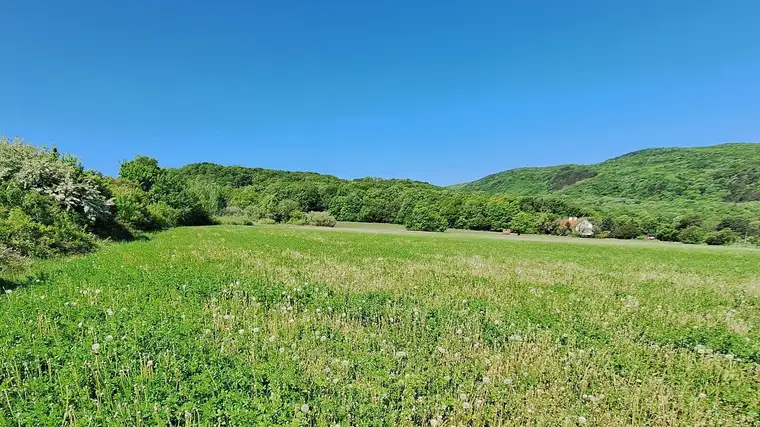 2371 Weissenbach bei Mödling | BAUGRUNDSTÜCK 990 m² | grüne Aussichtslage |Entwurf für Einfamilienhaus