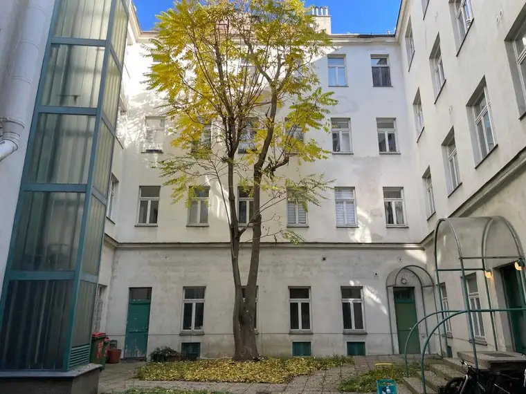 Ing. Thomas Gruber, PLENUS Immobilien GmbH