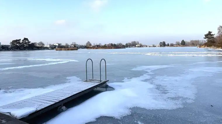 Anita Zauder, PLENUS Immobilien GmbH