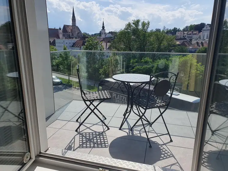 Harald Platzl, Platzl Immobilien