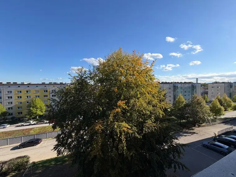 Großzügige 4-Zimmer-Wohnung in Linz – frisch renoviert, vielseitig nutzbar und mit idealem Grundriss inkl. PKW Stellplätze nutzbar