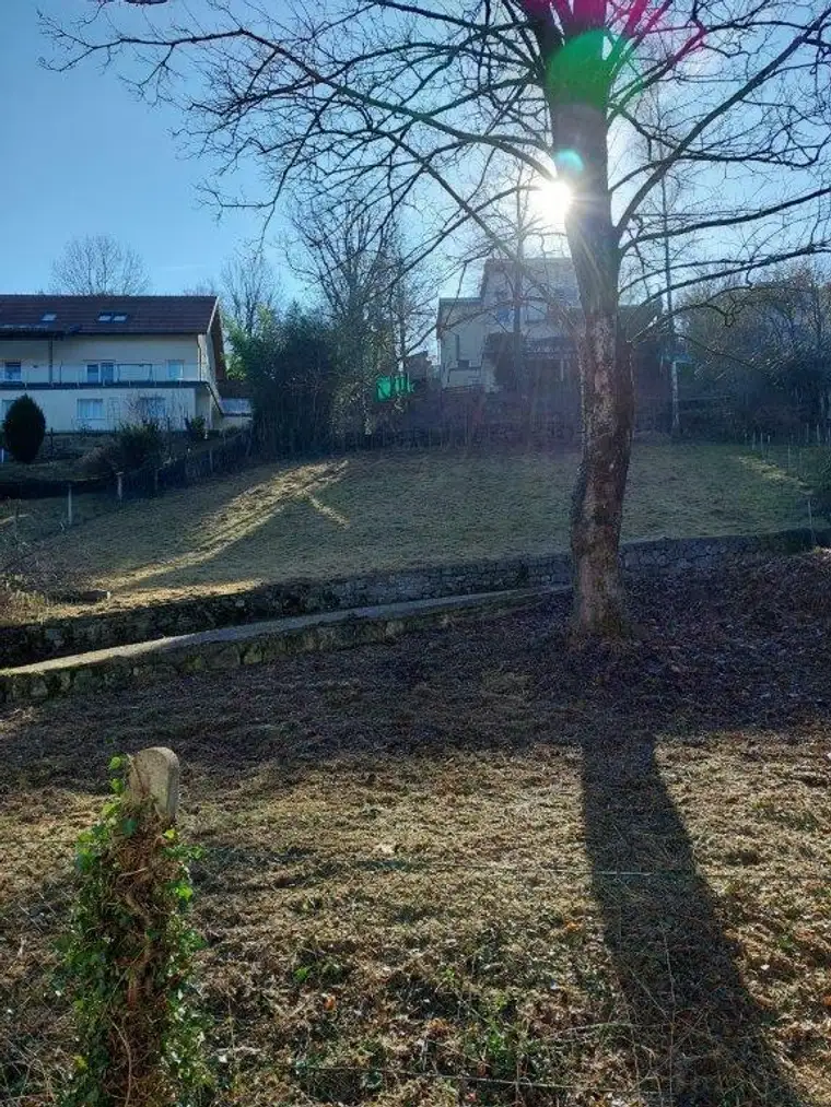 traumhafter Baugrund im Grazer-Grüngürtel bei Plattenweg an der Grenze Andritz/Mariagrün