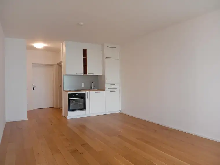 1 Zimmer-Wohnung | 3m² Loggia | Linz-Urfahr