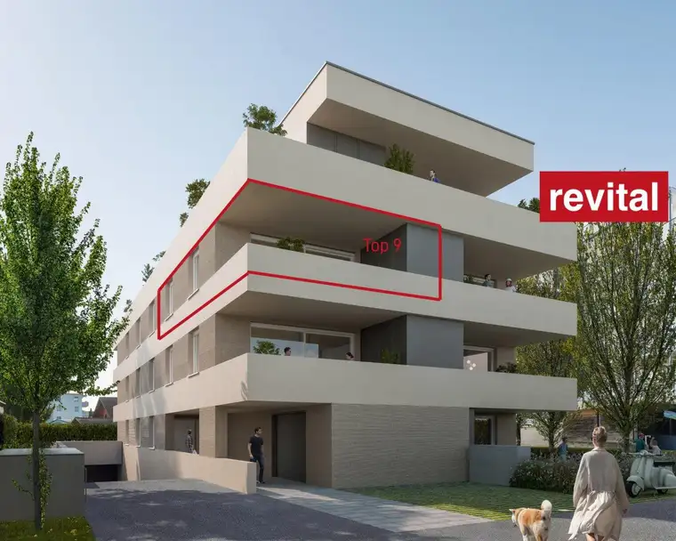 Maximilian Kaufmann, Rimo Dornbirn Immobilien GmbH