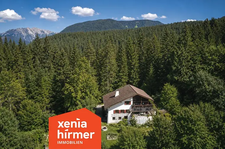 Dein neues Zuhause - Hoch droben im Walde