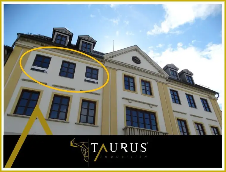 Helle, großzügige Wohnung am Hauptplatz + Süd-Balkon