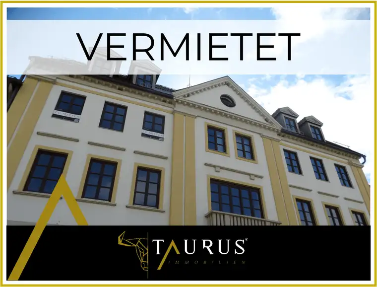 Helle, großzügige Wohnung am Hauptplatz + Süd-Balkon