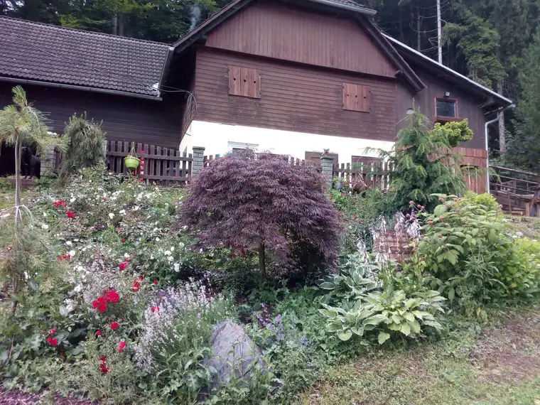Kleines Bauernhaus mit Stallgebäude für Kleinvieh am Fuße der Hochrindl