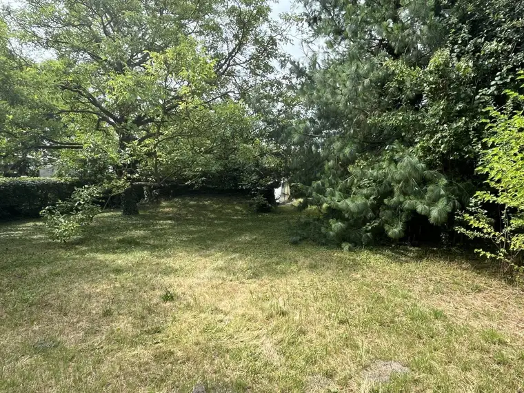 Traumhaus mit Pool in Groß-Enzersdorf