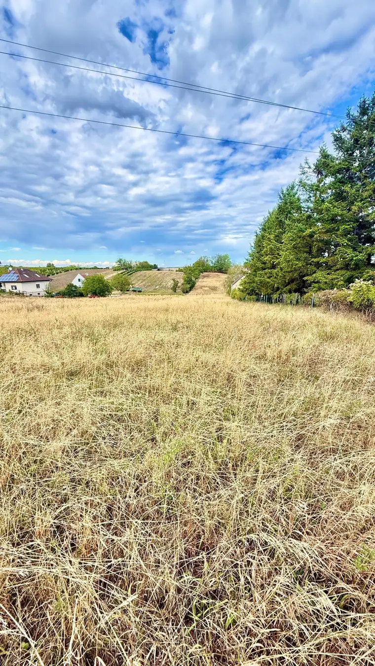 2.326 m² Baugrundstück in Toplage - Großzügig, teilbar &amp; nahe Wien