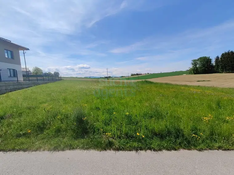 Neuer Preis! 961 m² Baugrund in Ruhelage – voll erschlossen &amp; sofort verfügbar