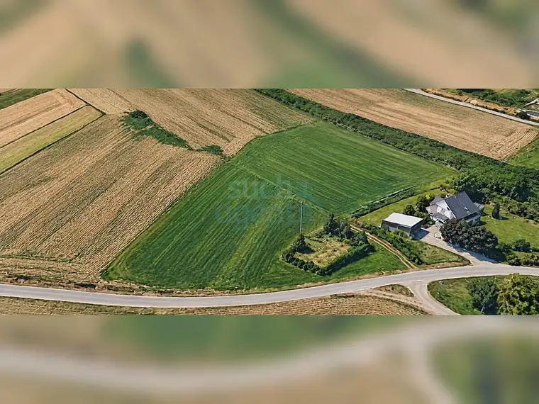 Hier könnte Ihr Traumhaus stehen – 1.213 m² Baugrund in der Südsteiermark