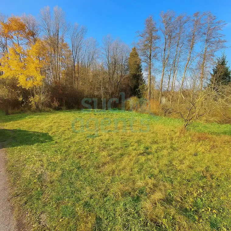 Neuer Preis! Ein Grundstück - unzählige Möglichkeiten! Perfekt für Bauträger und private Bauherrn