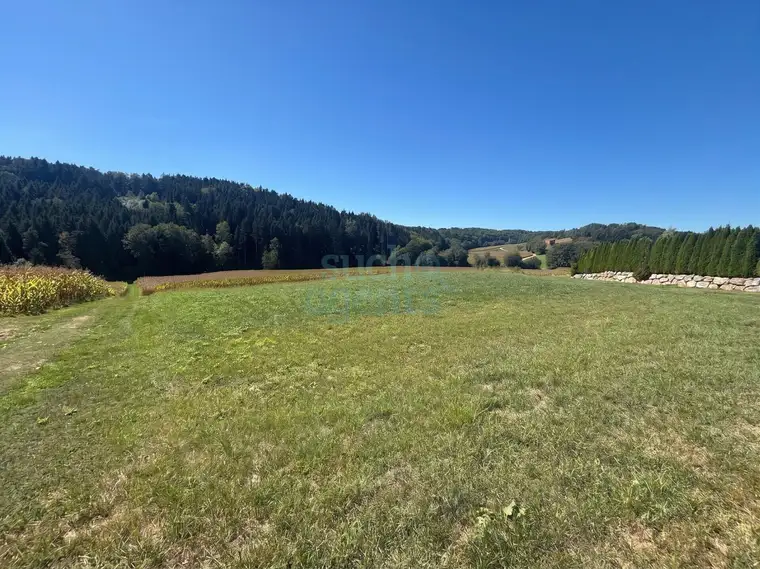 1.000 m² Baugrund + bis zu 2.000 m² Grünfläche – Unverbaubarer Grünblick in idyllischer Ruhelage