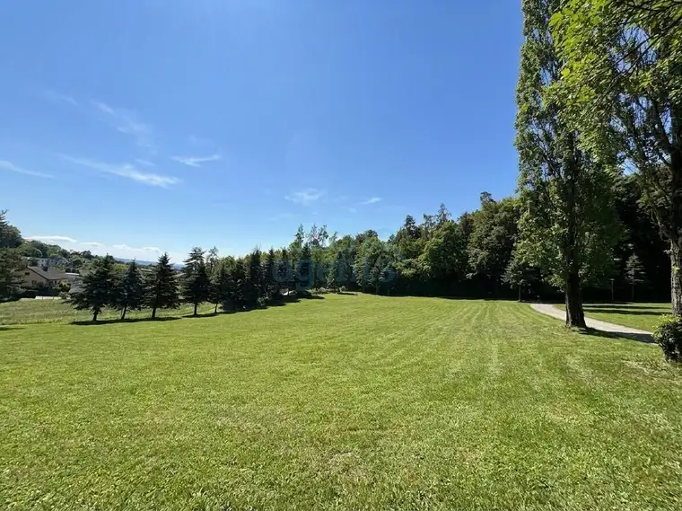 Großzügiges Baugrundstück in begehrter Lage am Gedersberg
