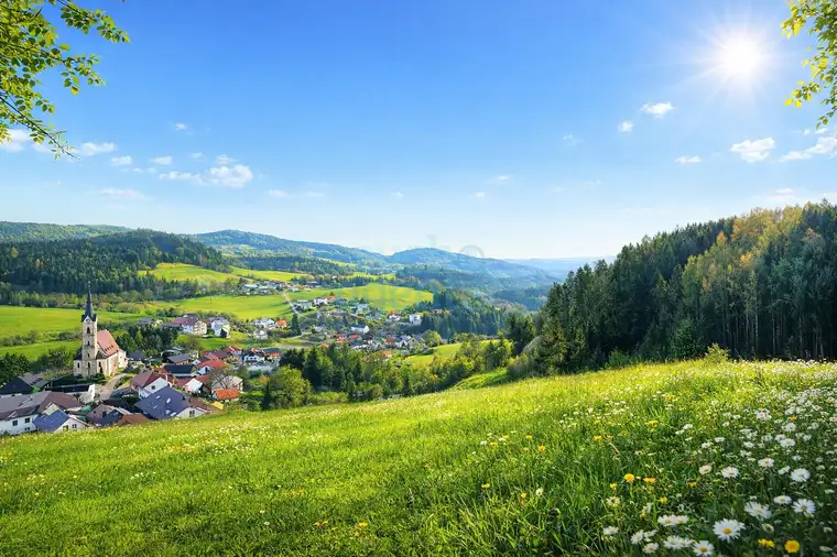 Neuer Preis! Sonne, Ruhe, Ausblick – Baugrundstück nahe Linz mit flexibler Größe