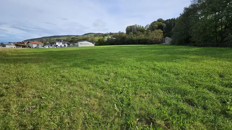 Tolles Gewerbegrundstück an der A1 zu vermieten