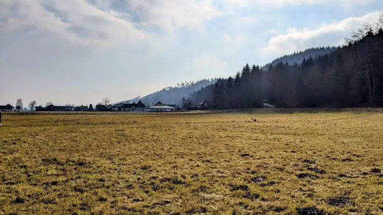 1100m2 für Ihr neues Zuhause in Pfaffstätt / Mattighofen