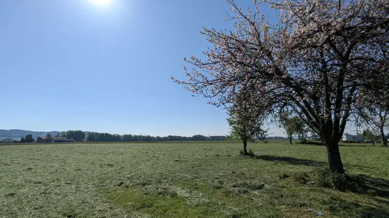 Grundstück in Traumlage - Pfaffstätt / Mattighofen