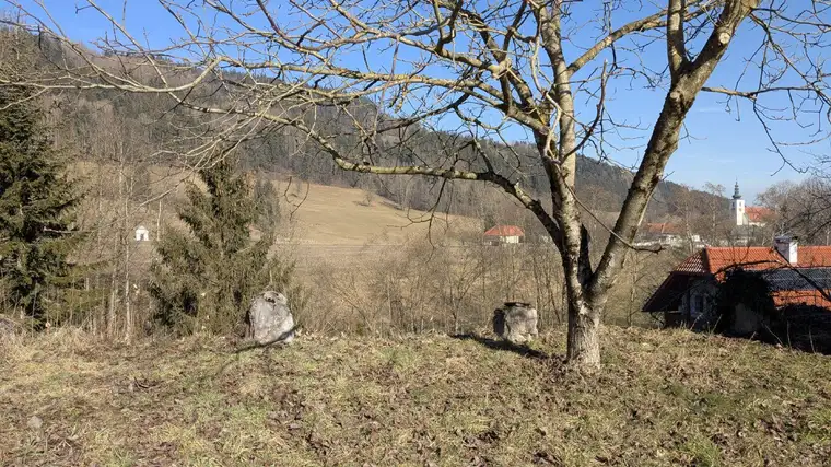 Ebenes Grundstück mit Erweiterungsoption