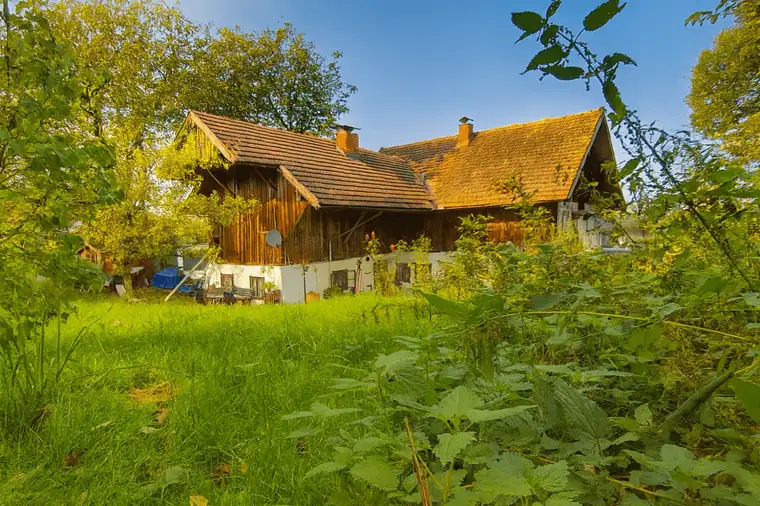 Naturliebhaber aufgepasst: Großes Grundstück mit Altbestand in Ruhelage