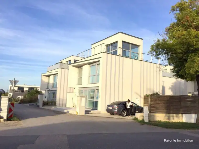 Deniz Berber, Favorite Immobilientreuhand GmbH