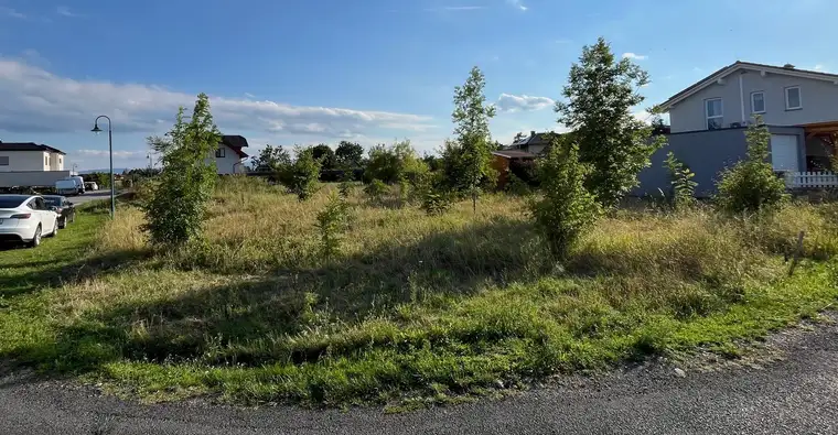 Baugrundstück in Saubersdorf
