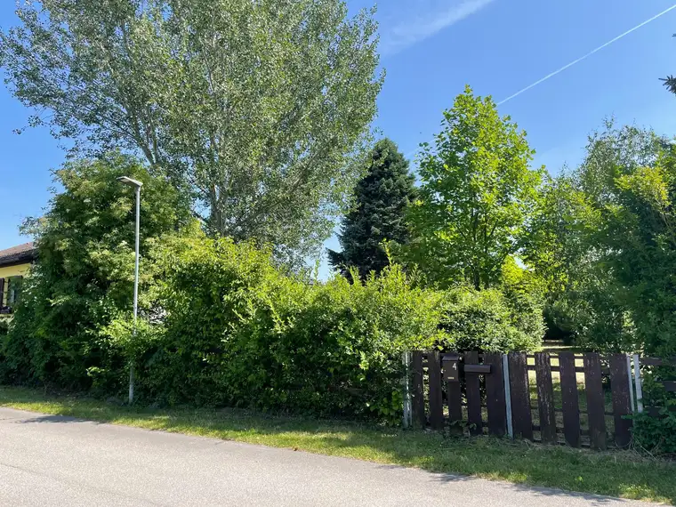 Baugrund in Traumruhelage an Wiens Stadtgrenze zu verkaufen.