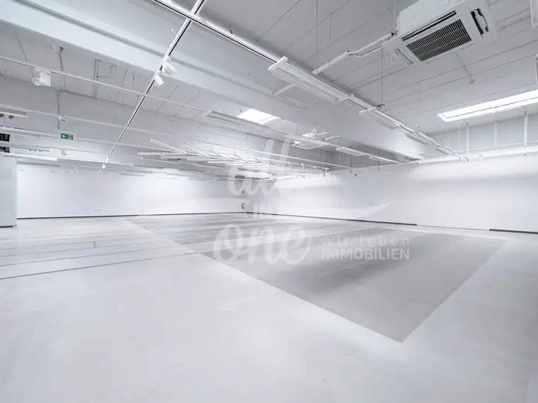 Ehemaliges Nike-Outlet – flexible Geschäftsfläche mit Lager &amp; Büro im Businesspark Viktring