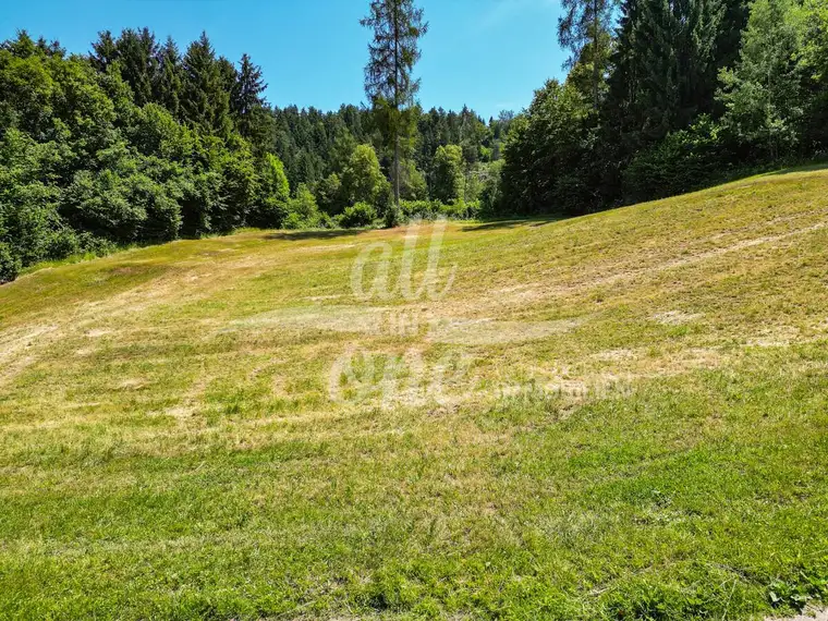 Sonniges Baugrundstück in Moosburg - Ruhige Lage am Waldrand (Nr.2)