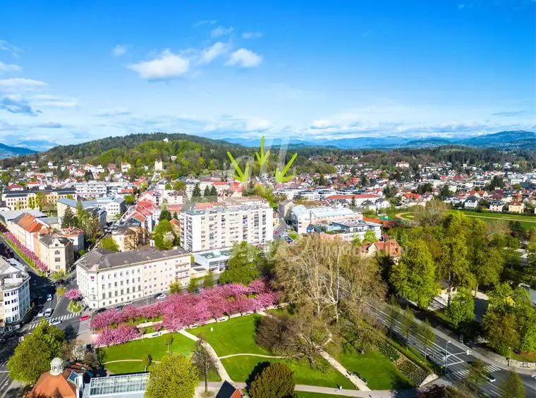 Altbauwohnung mit Garten - Wohnung / Büro - Kreuzbergl