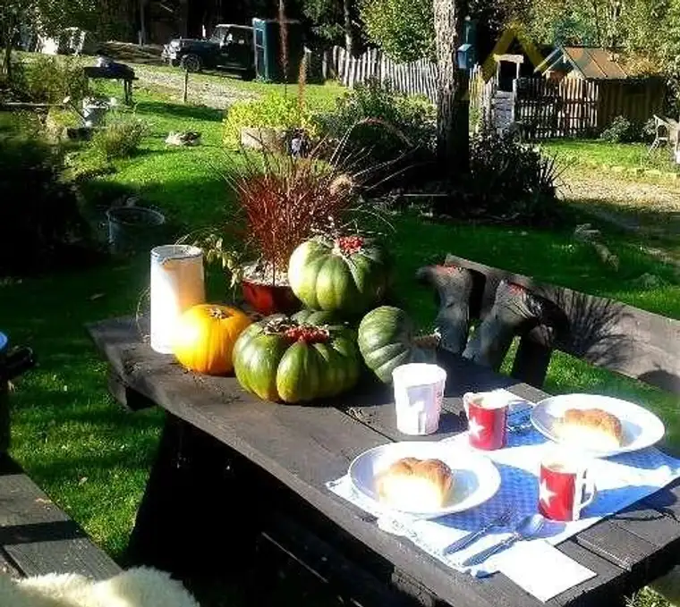 Oberösterreich, in der Nähe von Passau! Entdecken Sie einen Rückzugsort für Tierliebhaber und Selbstversorger, der Ihnen Ruhe und Entspannung bietet.