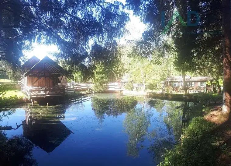 Willkommen auf unserer idyllischen Farm! Ideal für Tierliebhaber, Selbstversorger oder all jene, die einen Rückzugsort inmitten der Natur suchen. Geni
