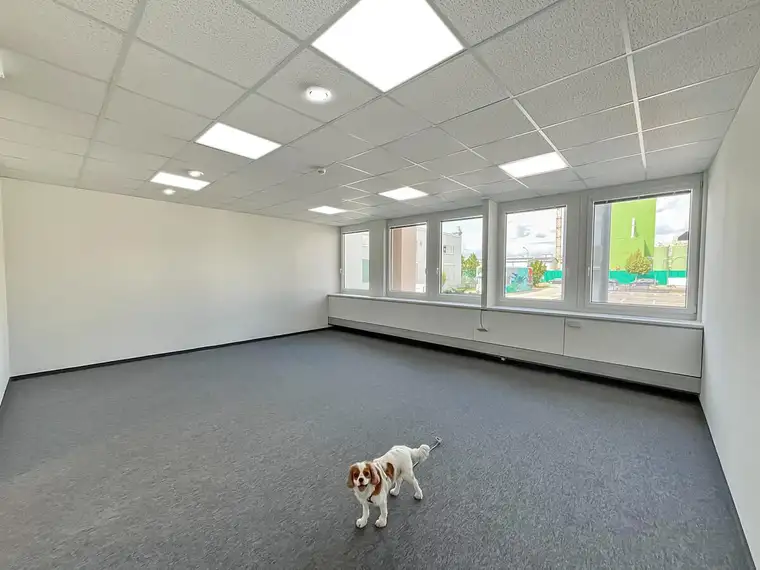OLIVIA, Ihre ideale Büro-Lager Kombination in Inzersdorf