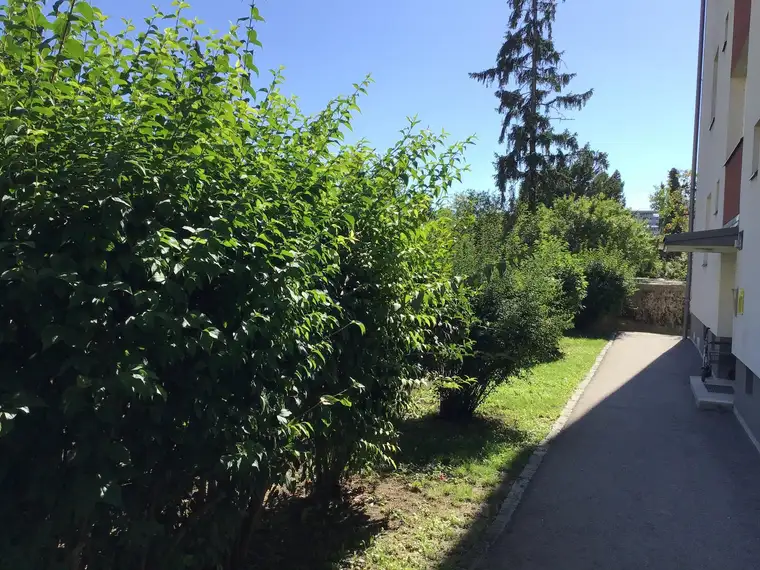 Kerensstraße! – Sehr schöne, helle 3-Zimmer-Wohnung